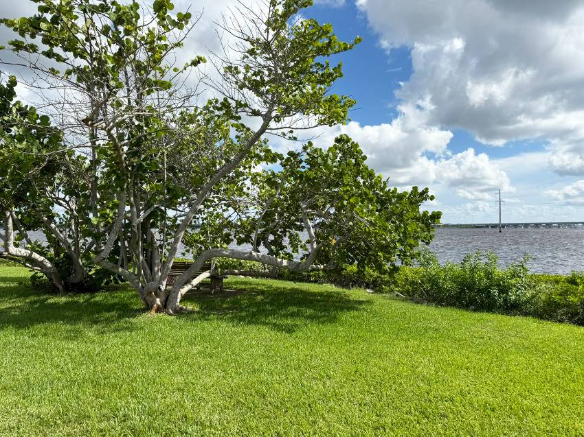 Palm Grove - Mobile Home Community